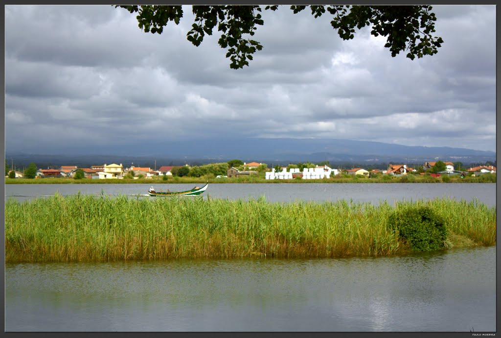 Ria de Aveiro by Paulo Moreira