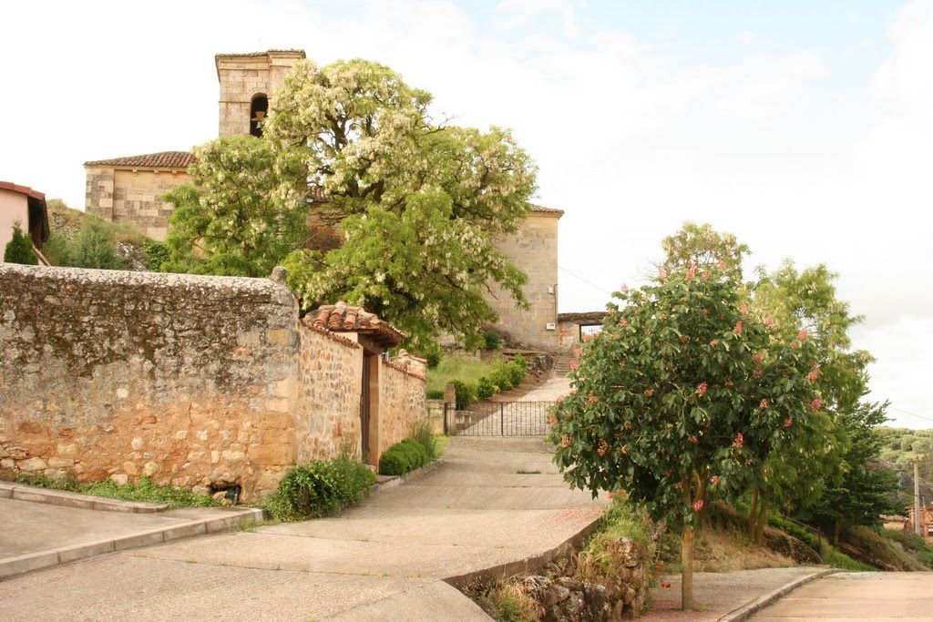 Iglesia de Santibañez de Ecla by CarlosCERVERA