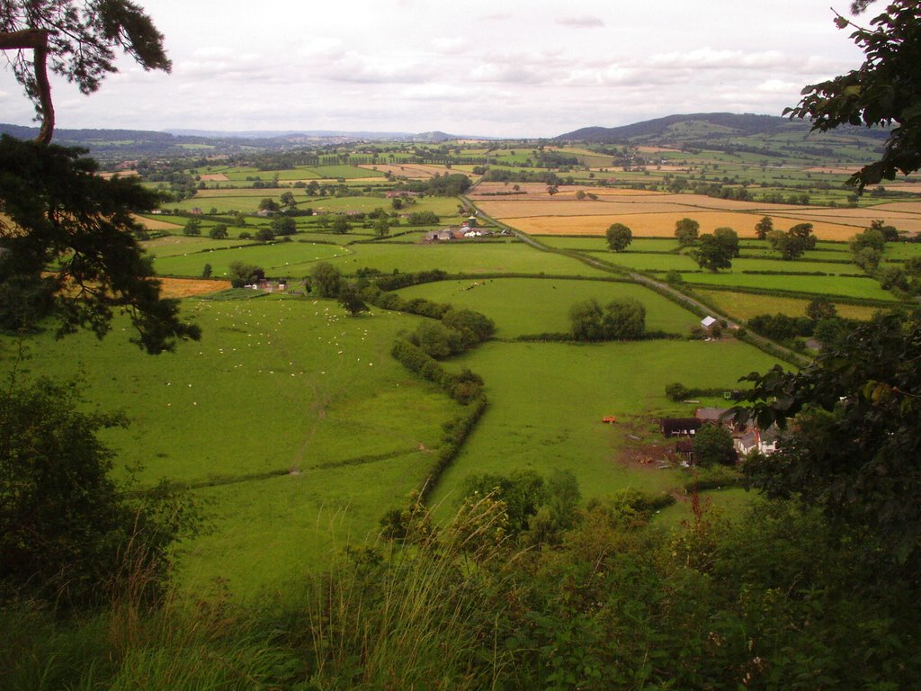 Looking down on the site of Battle of Montgomery 1644 by muba