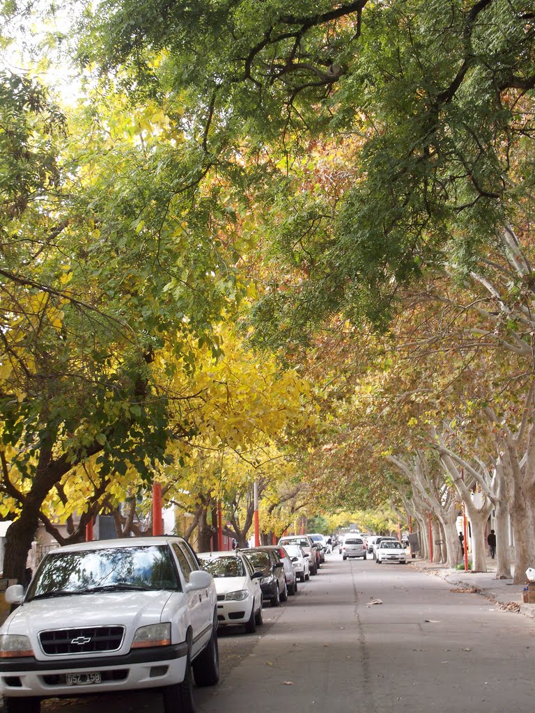 Otoño en Calle San Luis by cuyano_alborotador