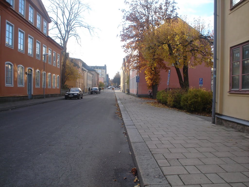 Kungsgatan by Magnus Brage