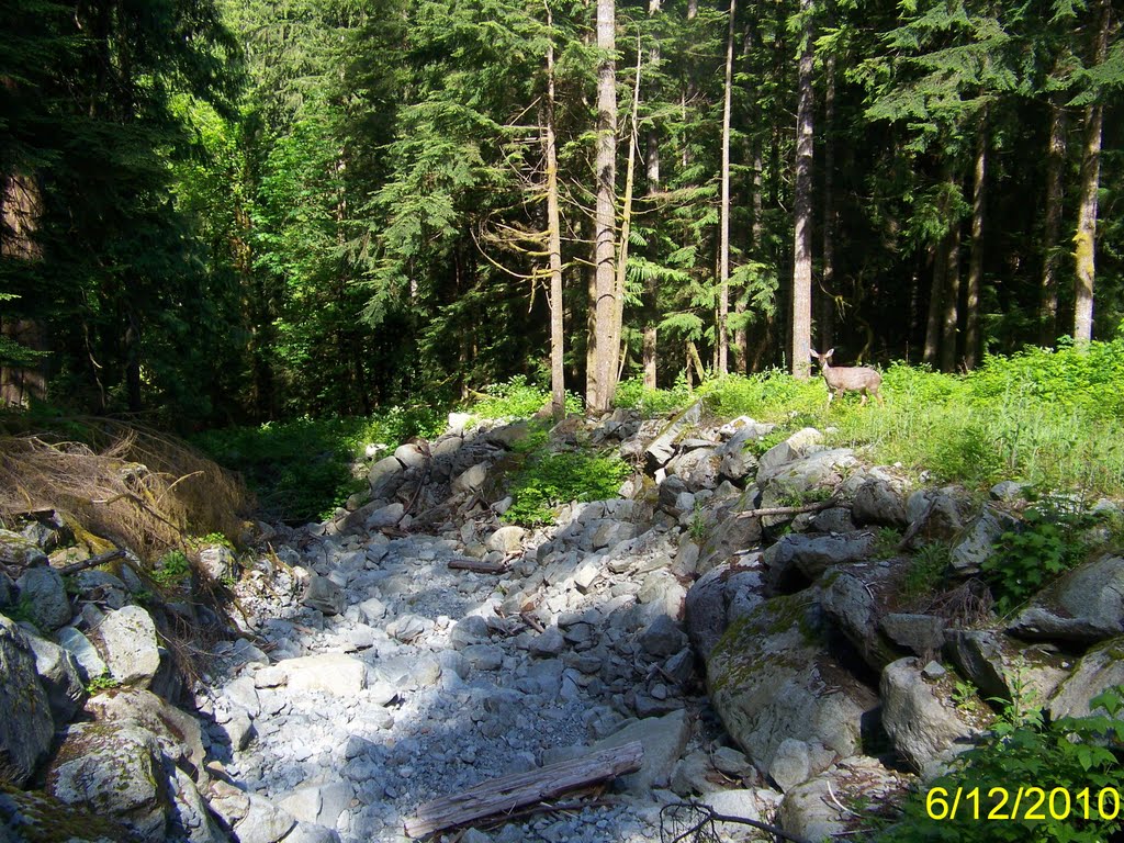 Squamish Creek by Wester