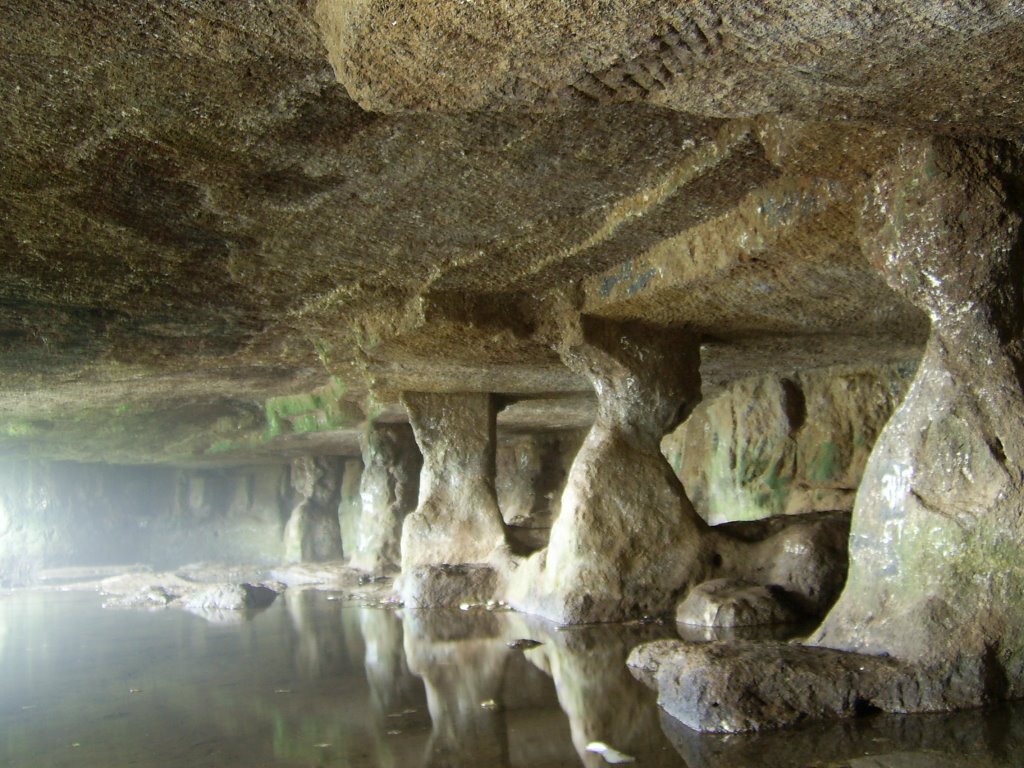 Caves at Sinhagad by aanikett