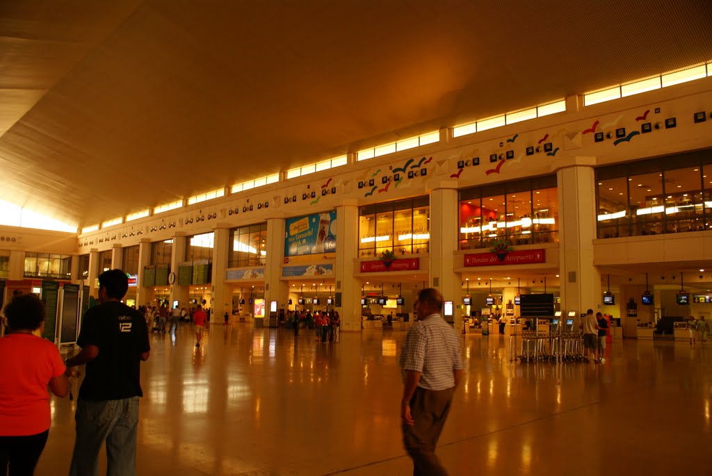 Malaga Airport by egrealish2010