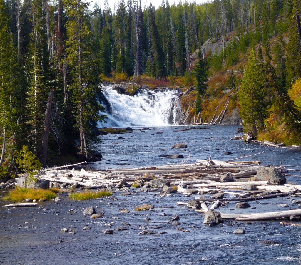 Lewis Falls - Yellowstone by Philip Scott Johnson