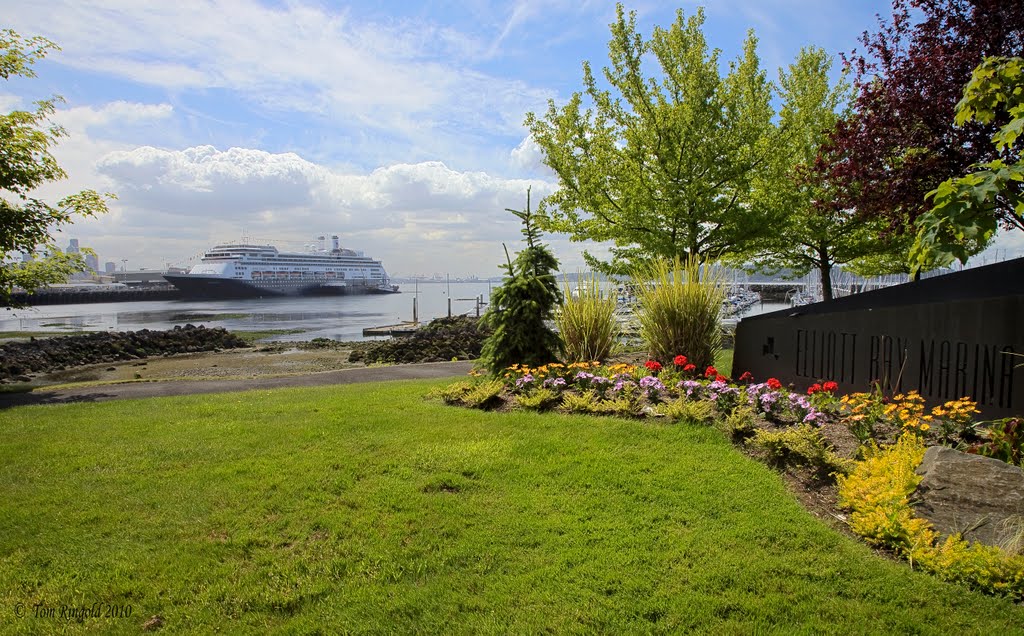 The Amsterdam from Elliott Bay marina by Tom D Ringold