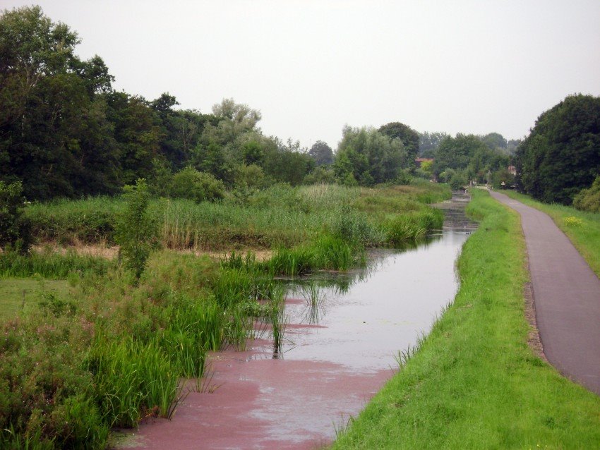 Achterbergse plassen 02-08-2007 by Bas van Oorschot