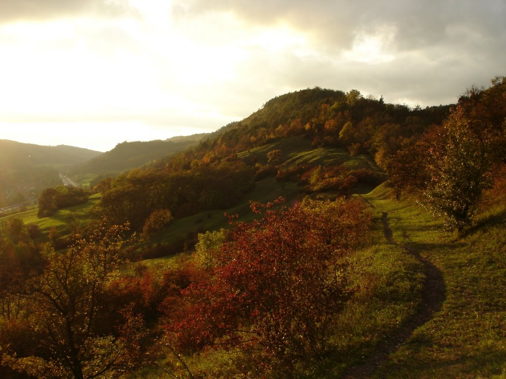 Herbstbild vom NSG Leutratal by © Steffen Veit