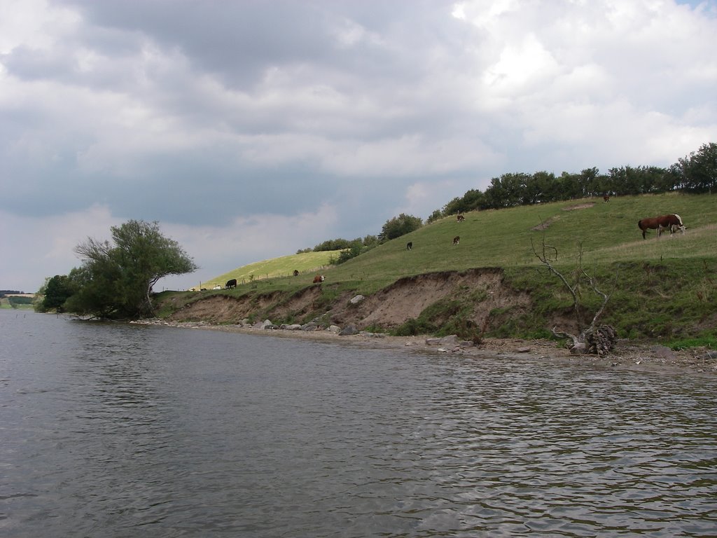 Glenstrup Sø, østenden by Henrik Leth