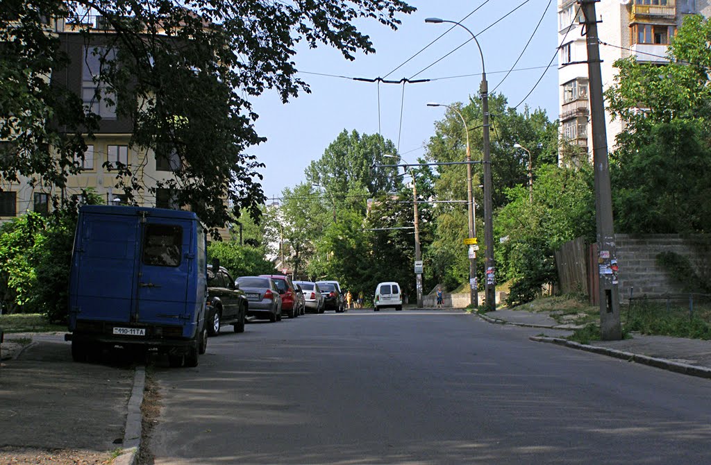 Vavilovykh street, 14.06.2010 by Алексей П.