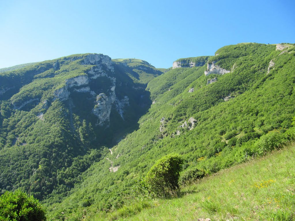 Monte Nerone - Val d'Abisso by e_kappey