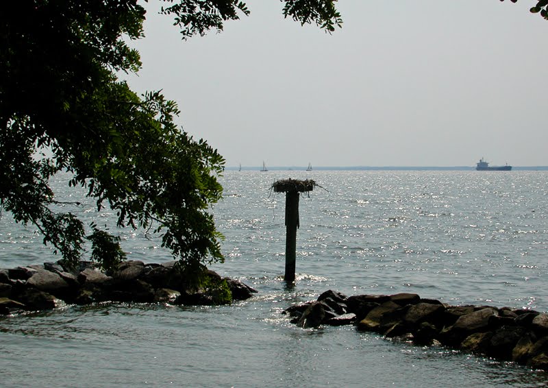 A Day at the Bay by Klaus Mack