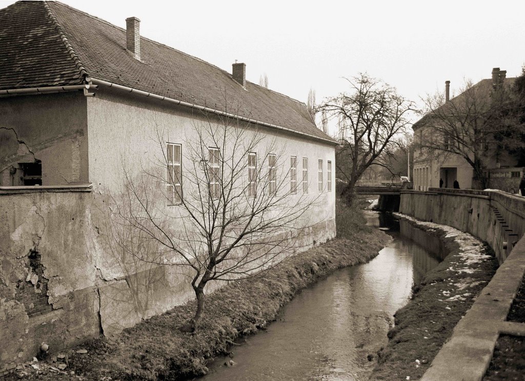 Eger river1 by Alexey Kirillin