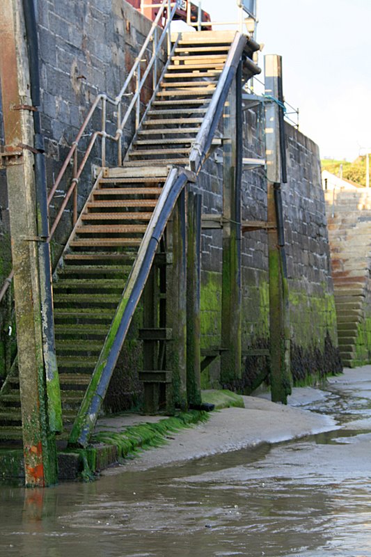 Harbour steps, Tenby by printmeister