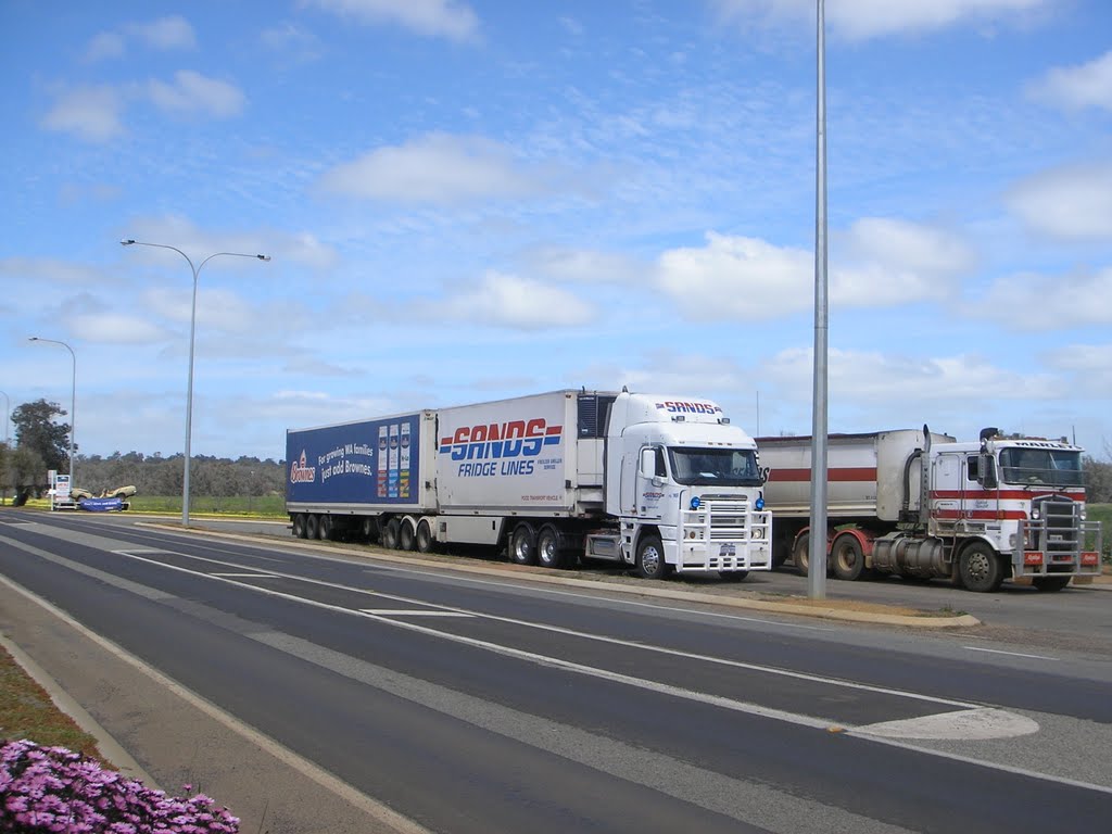 Trucks Parked at Williams by sugarbag1