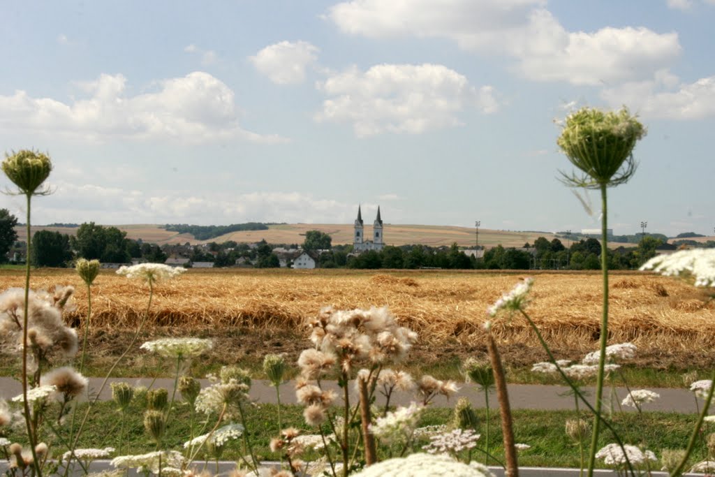 Stoppelfeld bei Polch by elpimpi