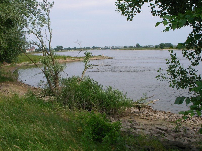 Blick auf die Elbe by ds58