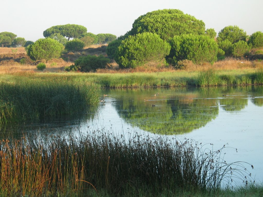 Laguna en la zona de la turbera by Antonio M Cabrera