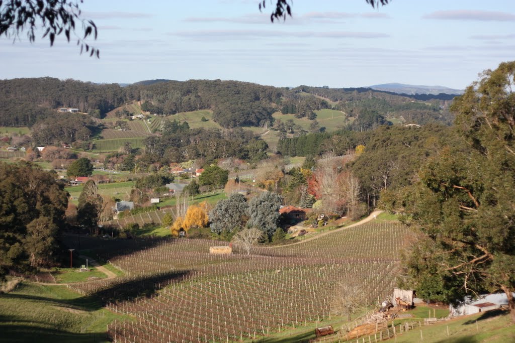 Adelaide Hills by xgb