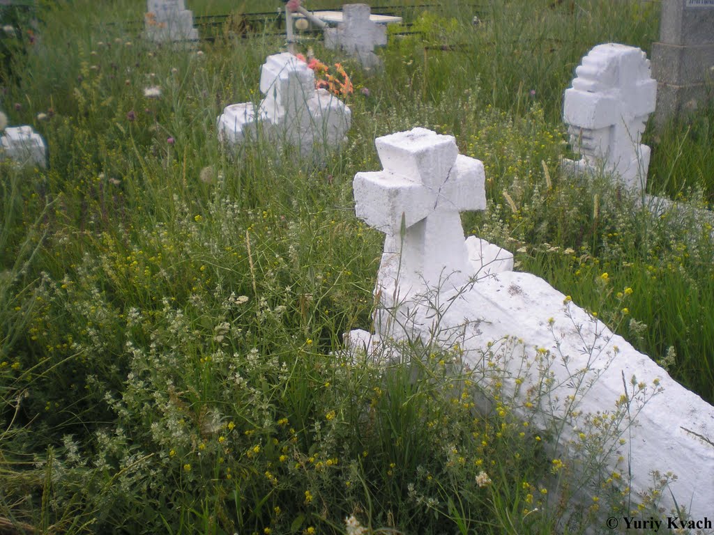 Cossacks Graves, Usatove Cemetery, Shkodova Mountain by Yuriy Kvach