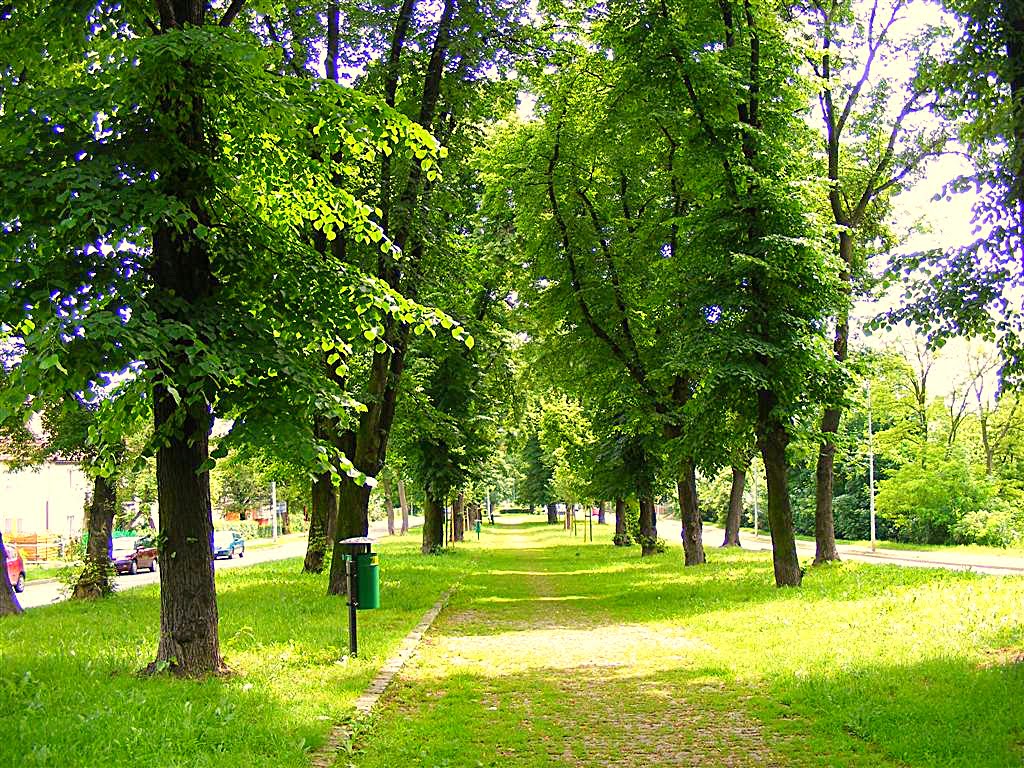 Legnica. Deptak przy ul. Grabskiego.Promenade Street. Grabski by Andrzej Brudziński...