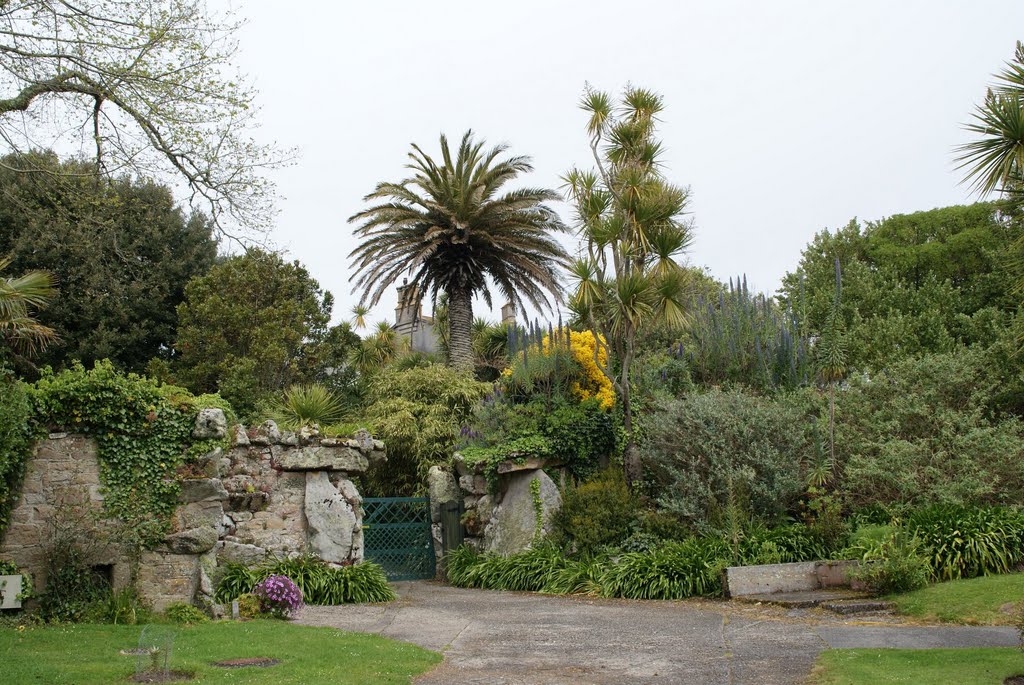 Tresco Abbey Gardens by njellis