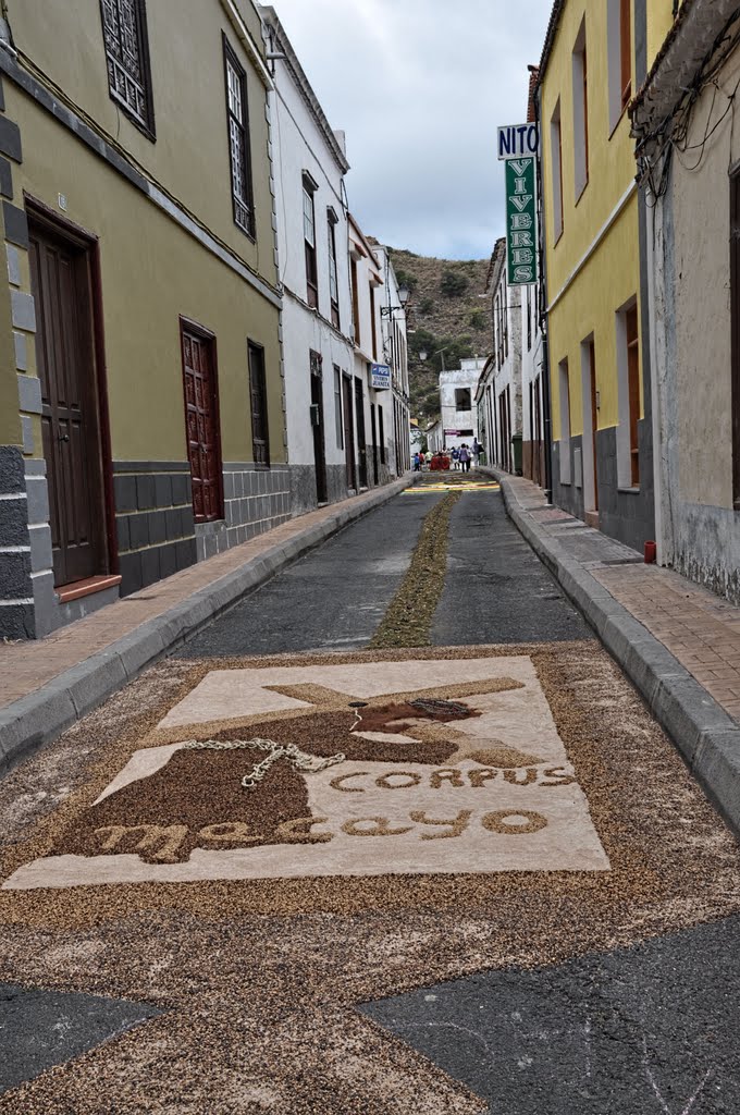 Alfombras del Corpus en la calle Mayor II by EpMartín ☼