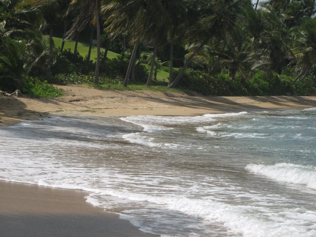 Beach on Palmas del Mar by jibaro1950