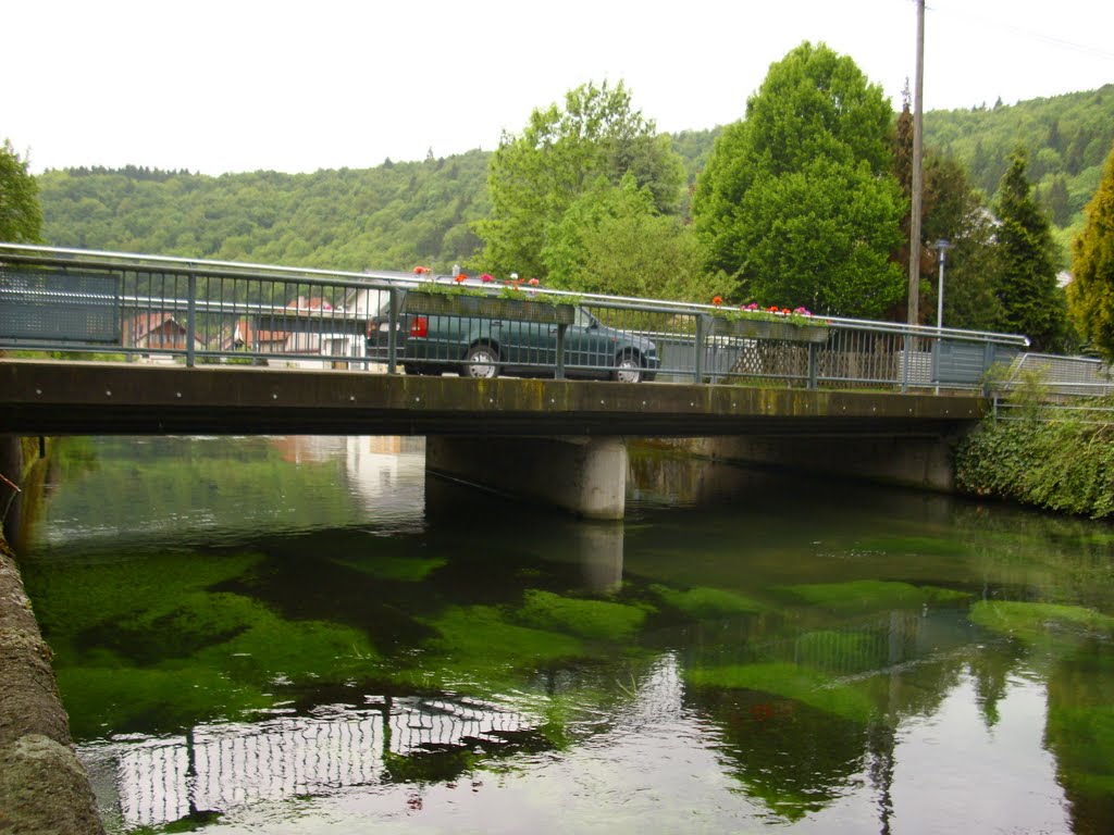 Belebte Brücke by helga haller