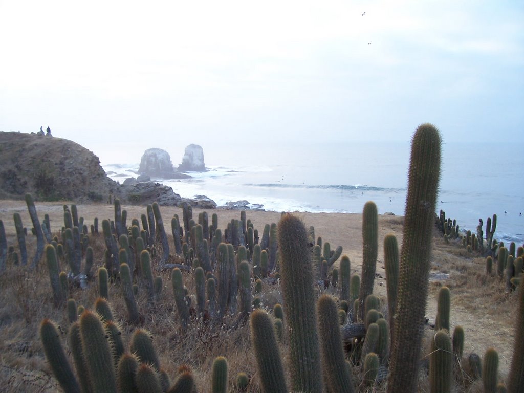 Pta Lobos surf spot by mattalvarez