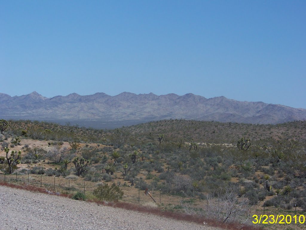 Desert Landscape in Southern Nevada by Wester