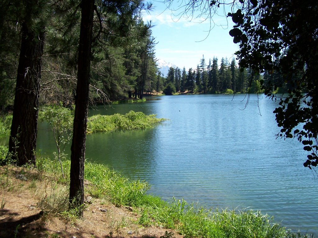 Lago en verano by mattalvarez