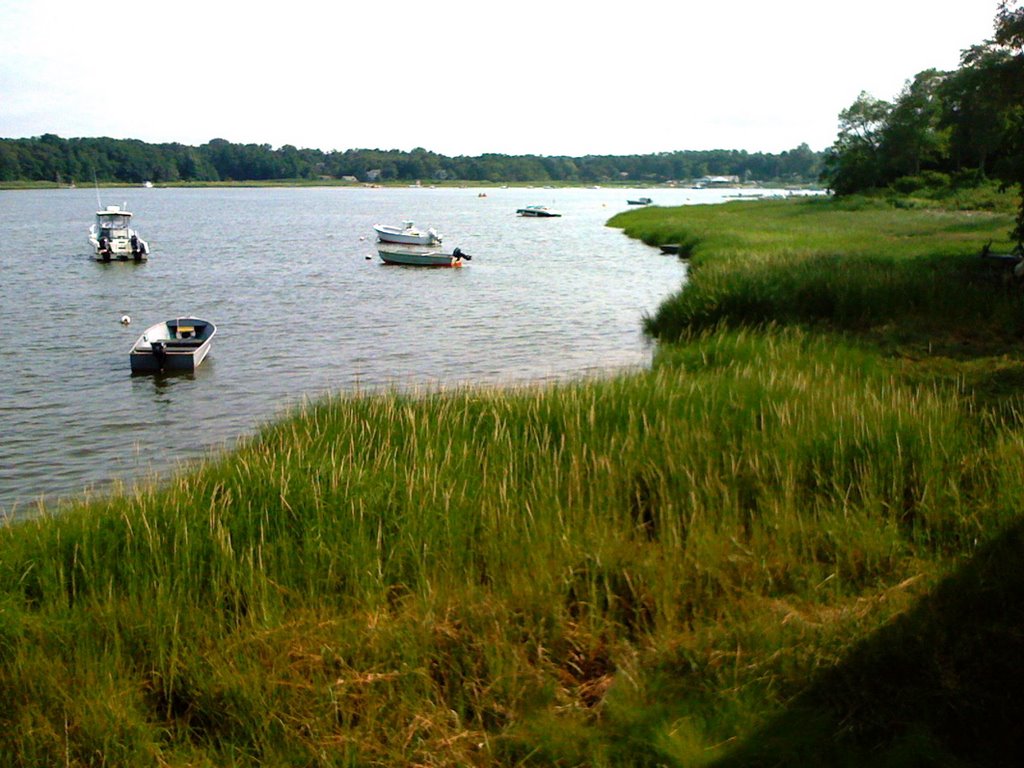 View from the Deck of the Orleans Inn by looneytoobs