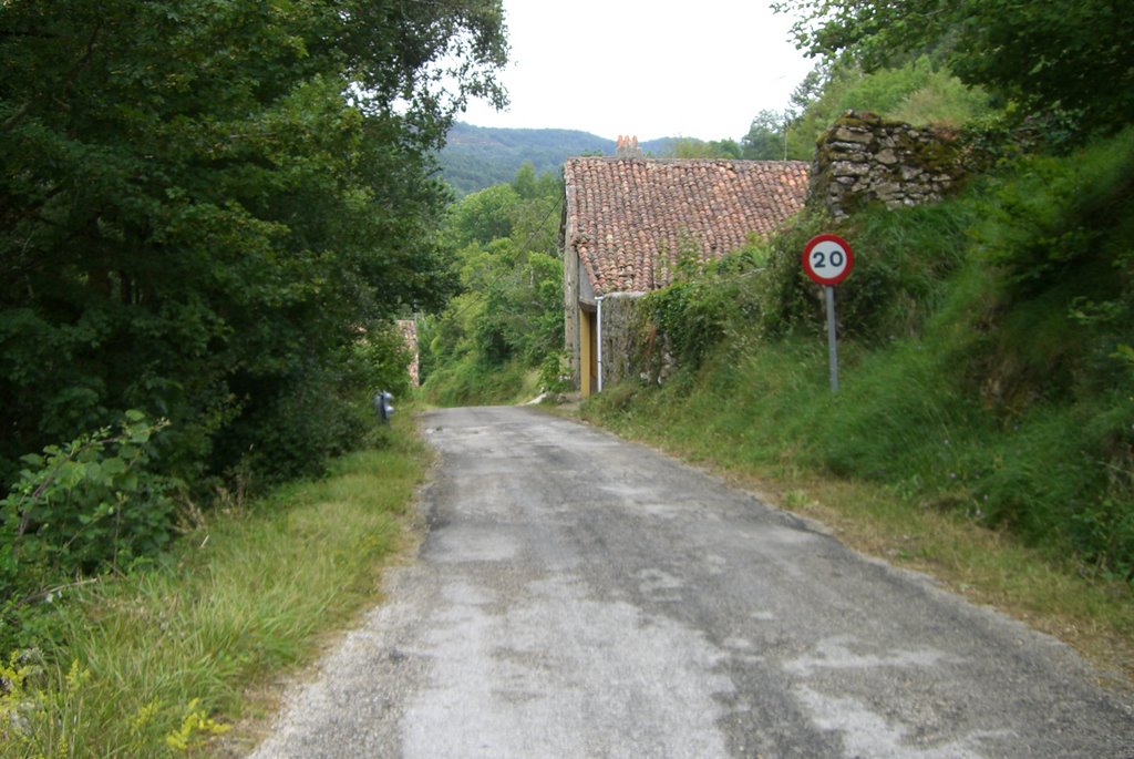 Entrada de las pisas by josevk