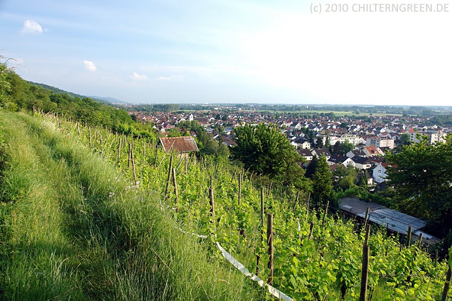 Blick auf das abendliche Laudenbach by Michael Schäfer - chilterngreen.de