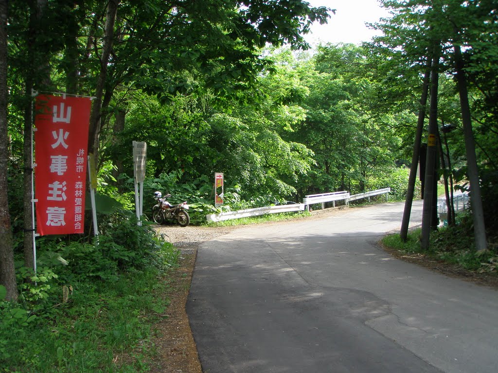 盤の沢林道（札幌岳登山口）左側　（標高360m） by matsubara serow225