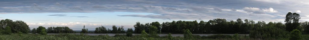 Carruthers Marsh, Ajax, ON, Canada by Auggie