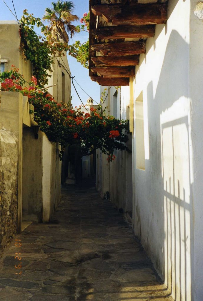 Walkway on Naxos by gmcgann