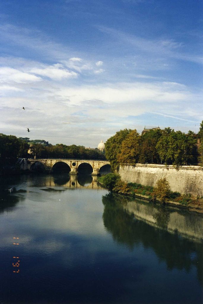 The Tiber River w/ St. Peter's Dome in the background by gmcgann