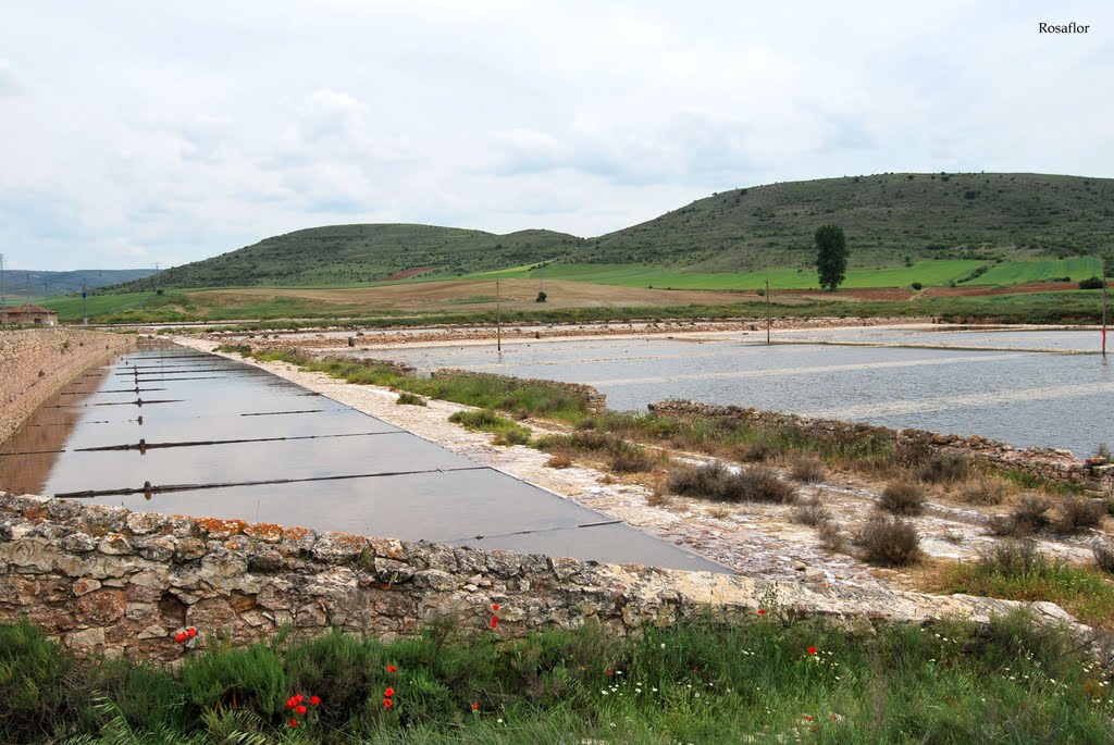 Salinas de Imón by Rosaflor