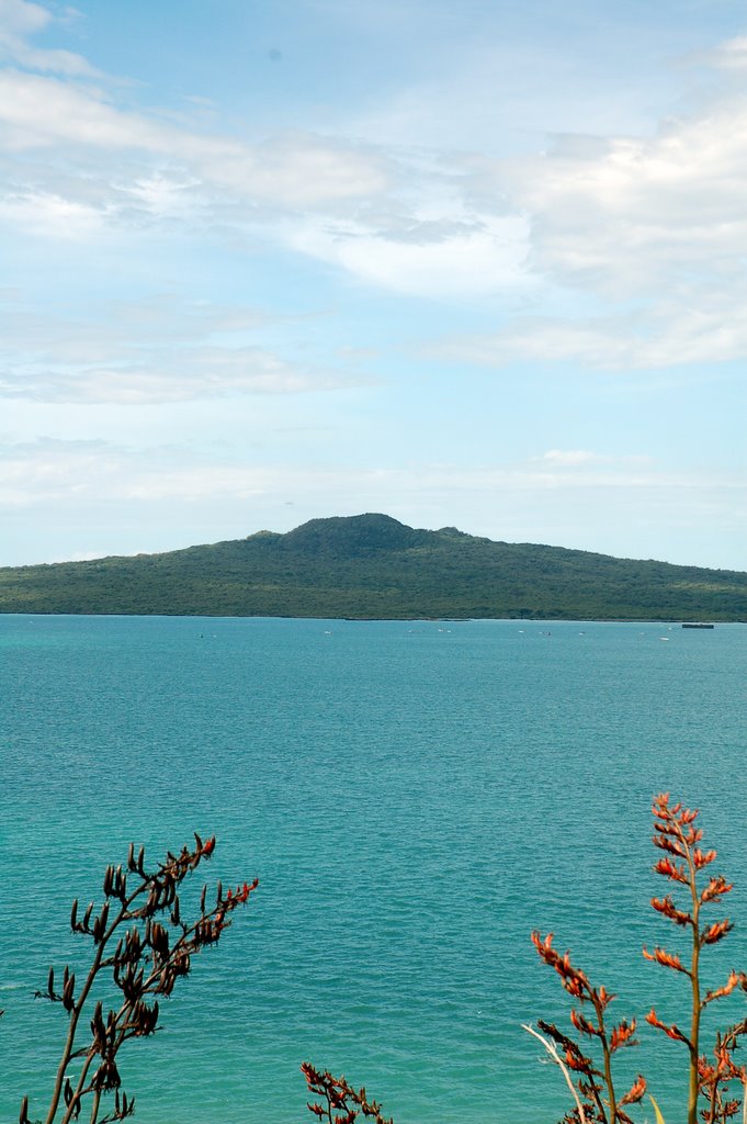 Rangitoto from North Head by numbly