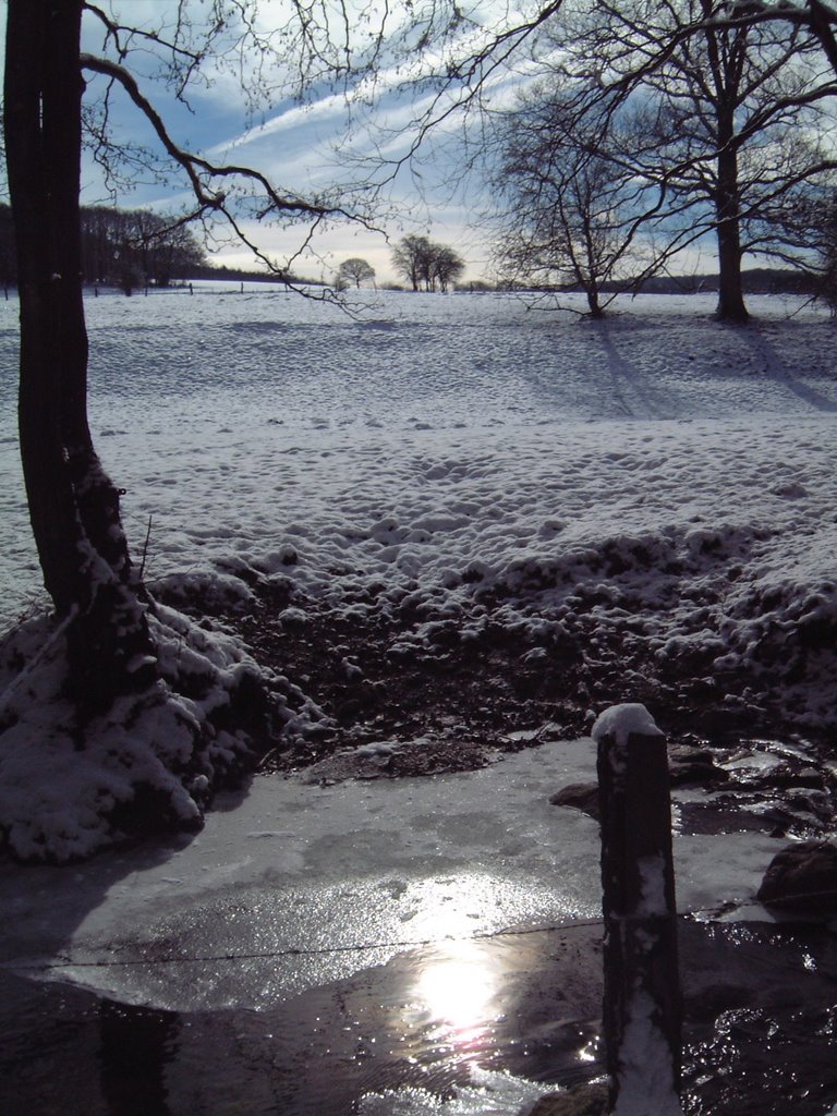 Les Fagnes by Olivier Beaumont