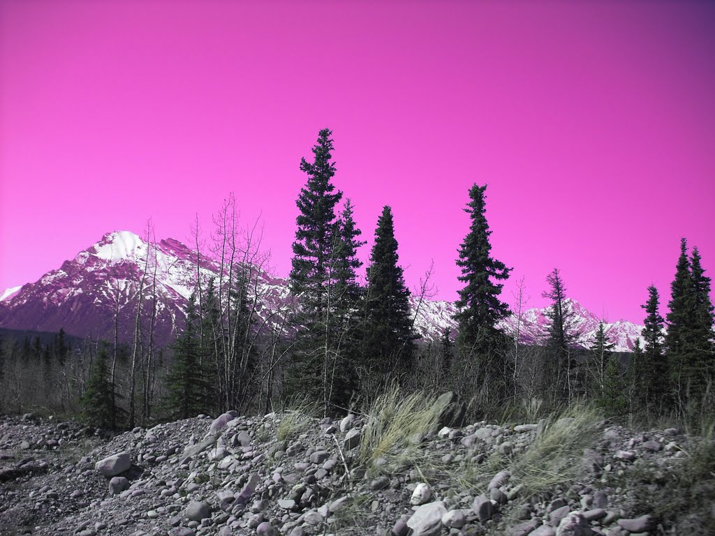 Near Matanuska Glacier, Alaska by amanda.rose.landers