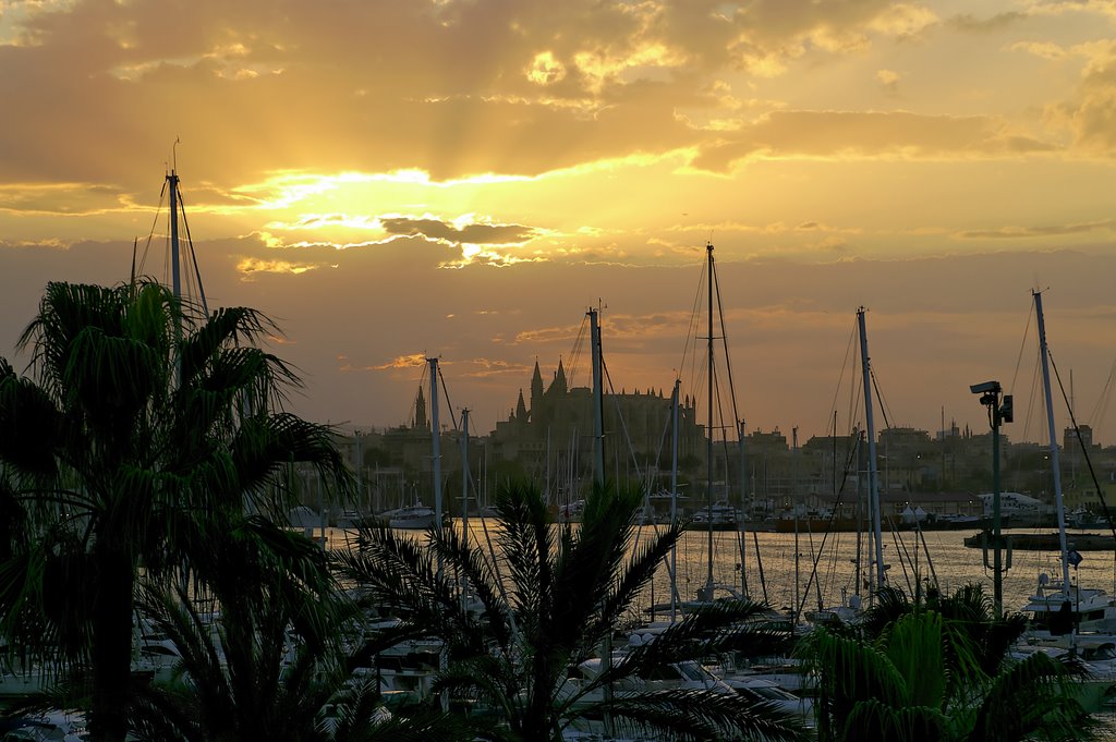 La Seu by Paul Buysrogge