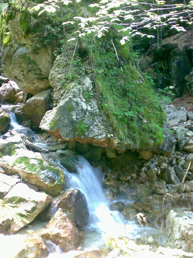 Staudach - Steig Richtung Staudach Alm - Wasserfall by Jens K.