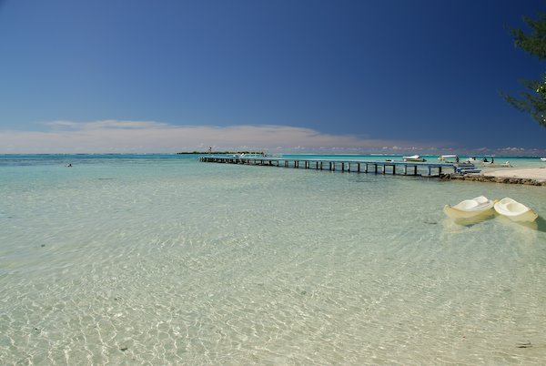 Tipaniers at Moorea by Oscar Amoros