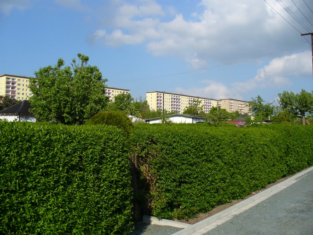 Chemnitz - Gartenanlage im Yorckgebiet by Thomas Eichler