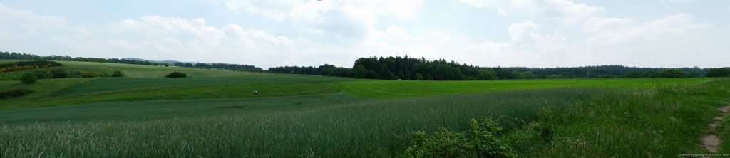 :: Panorama :: Blick über die Felder zur Hauptstraße :: by iZerf™