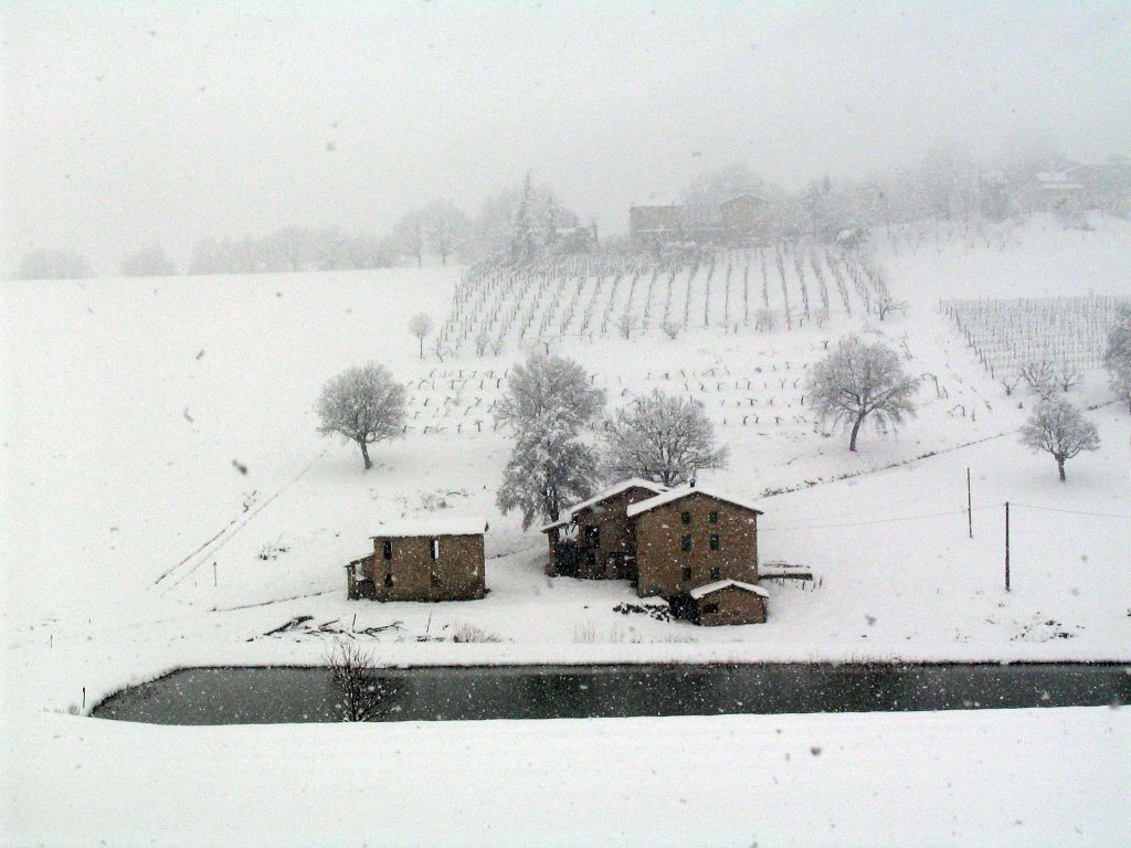 Campagna di Levizzano by Vinicio Cavallini