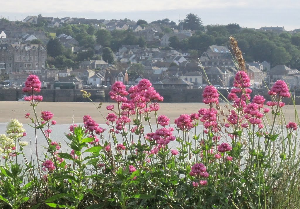 Rock Dunes Pinks & View to Padstow by Peter Connolly